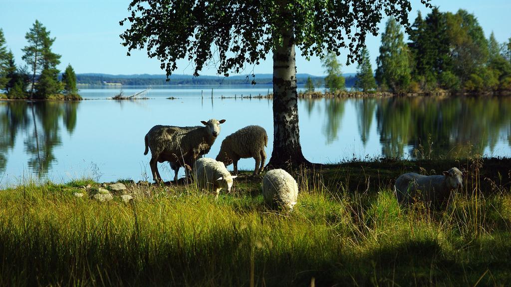 Hotel Lits Camping, Stugby Och Kanot Zewnętrze zdjęcie