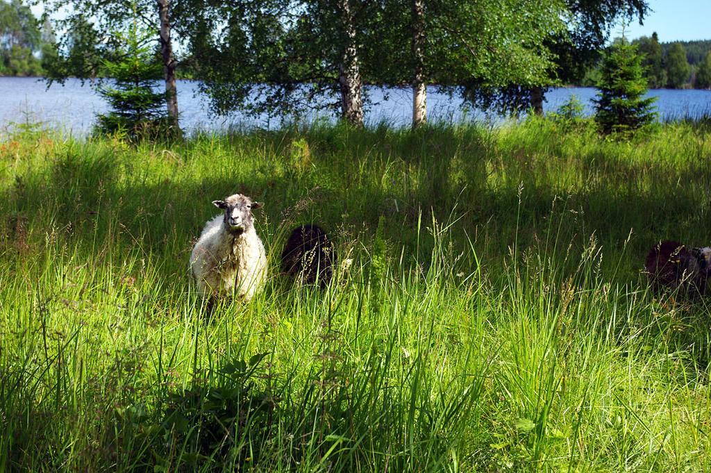 Hotel Lits Camping, Stugby Och Kanot Zewnętrze zdjęcie